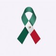 Nos unimos a la pena que embarga a las víctimas del terremoto ubicadas en Ciudad de México, Morelos, Oaxaca y Puebla. Como parte de los esfuerzos solidarios de la sociedad […]